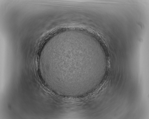 X0000115131493200911101636