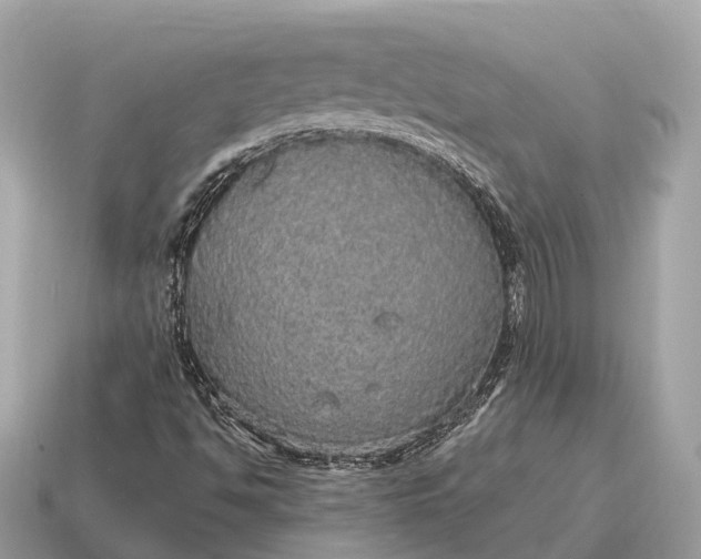 X0000115131494200911101636