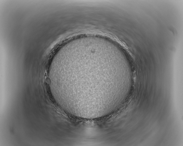 X0000115131495200911101636