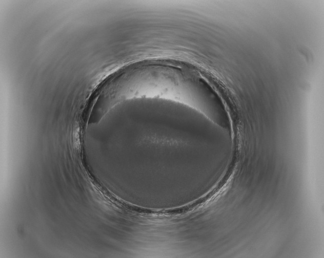 X0000115131497200911101636