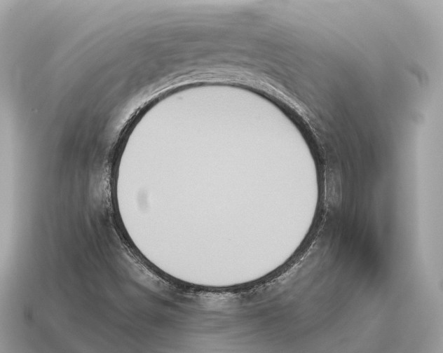 X0000115131498200911101636