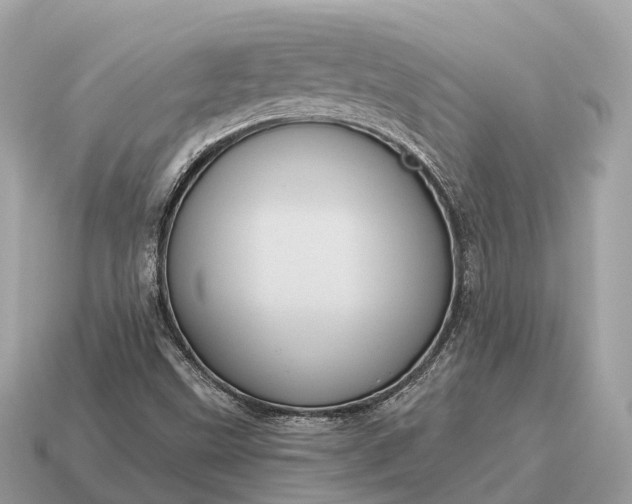X0000115131499200911101636