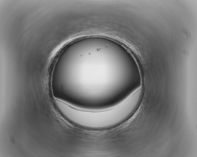 X0000115131502200911101636