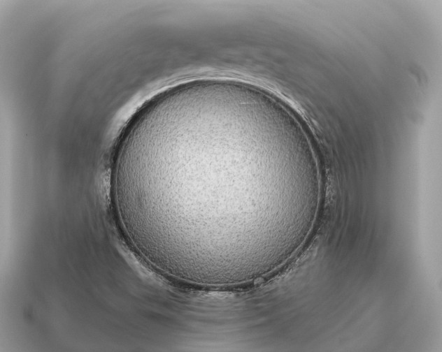 X0000115131503200911101636