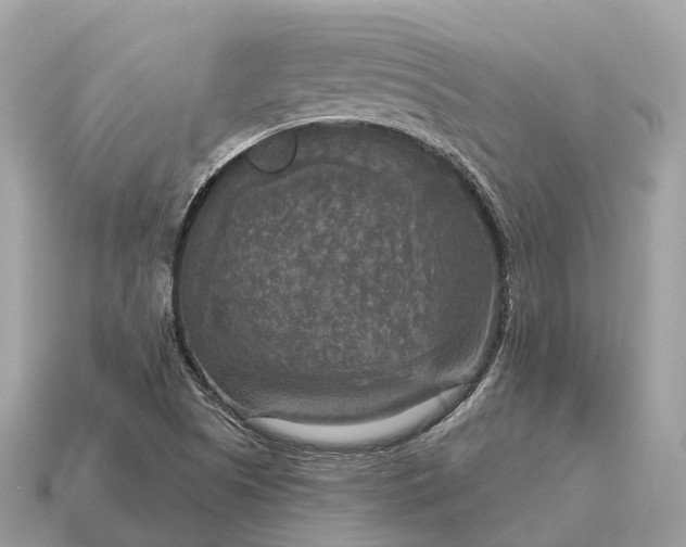 X0000115131505200911101636