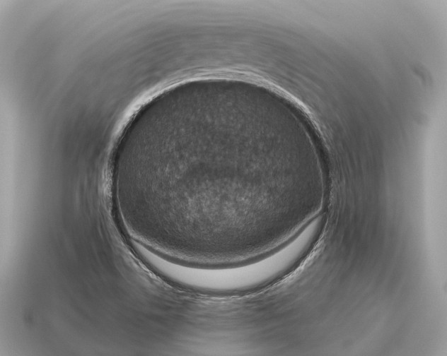 X0000115131506200911101636