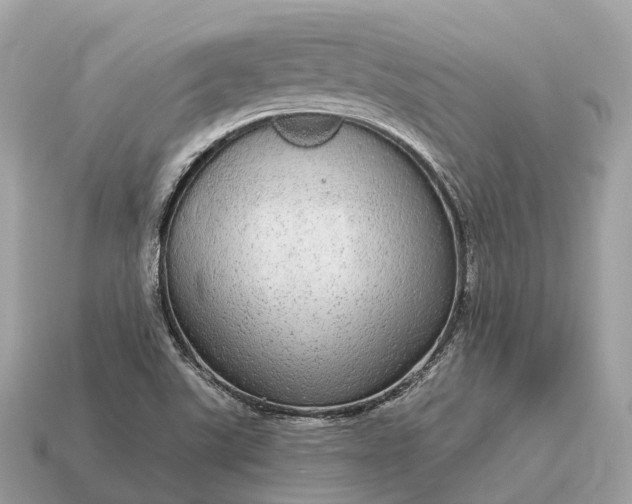 X0000115131507200911101636