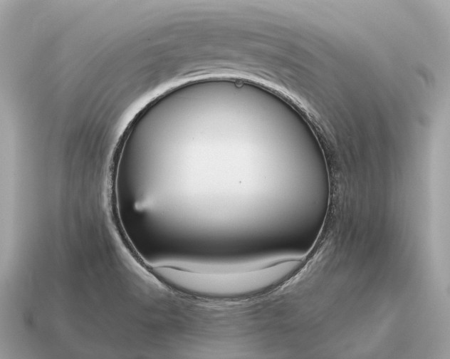 X0000115131518200911101636