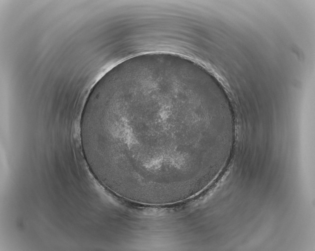X0000115131521200911101636