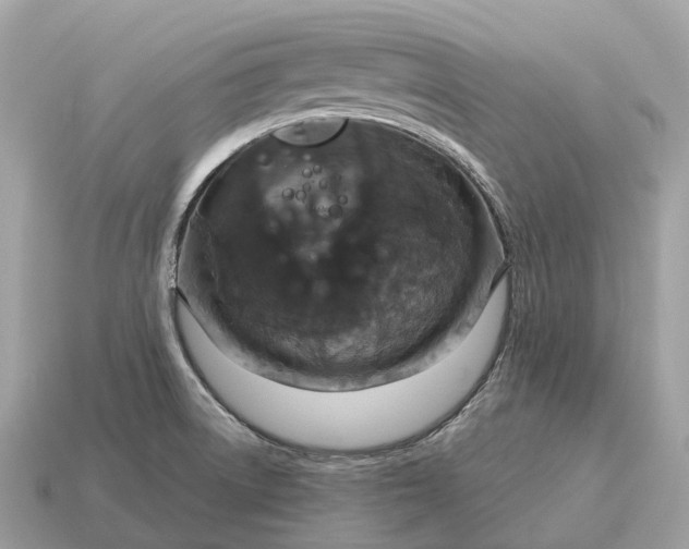 X0000115131522200911101636