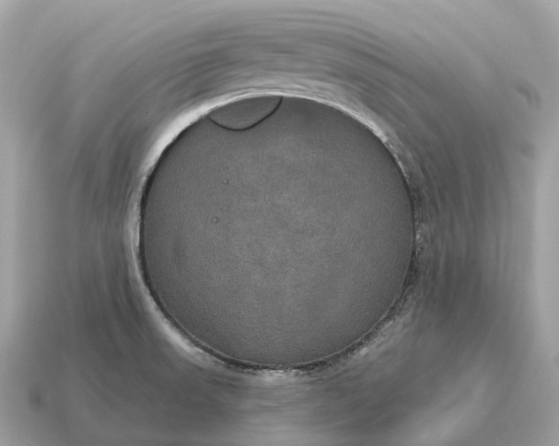 X0000115131523200911101636