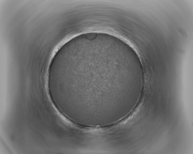 X0000115131525200911101637