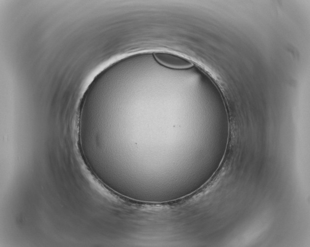 X0000115131526200911101637