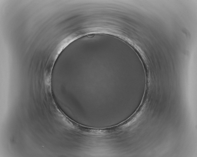X0000115131529200911101637