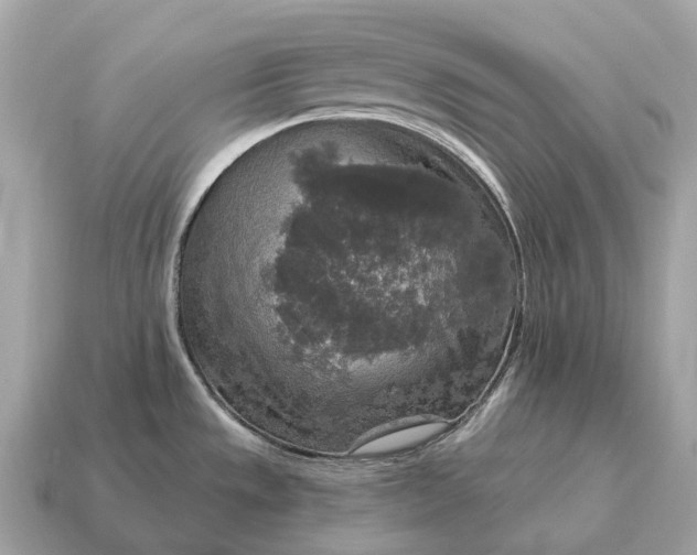 X0000115131533200911101637