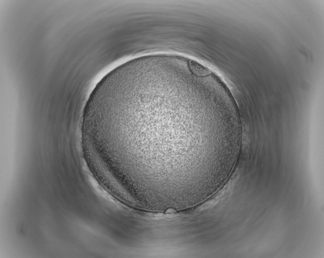 X0000115131534200911101637