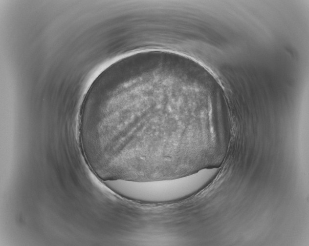 X0000115131535200911101637