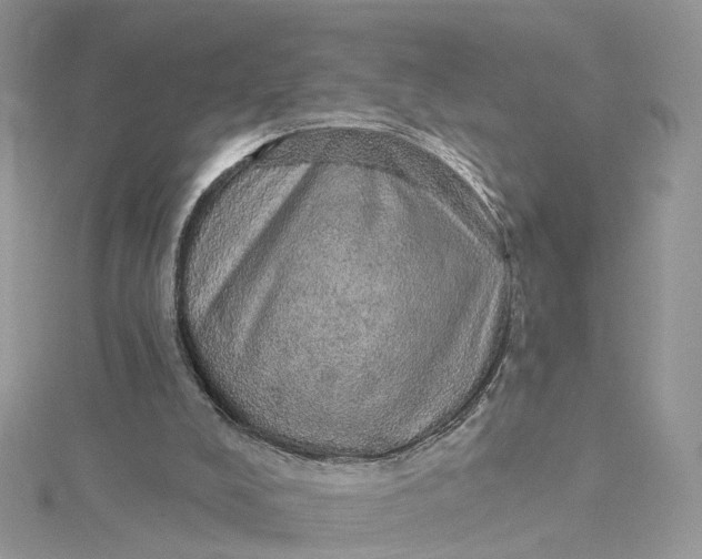 X0000115130008200911171209