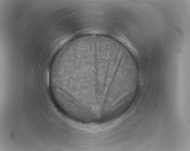 X0000115130014200911171209