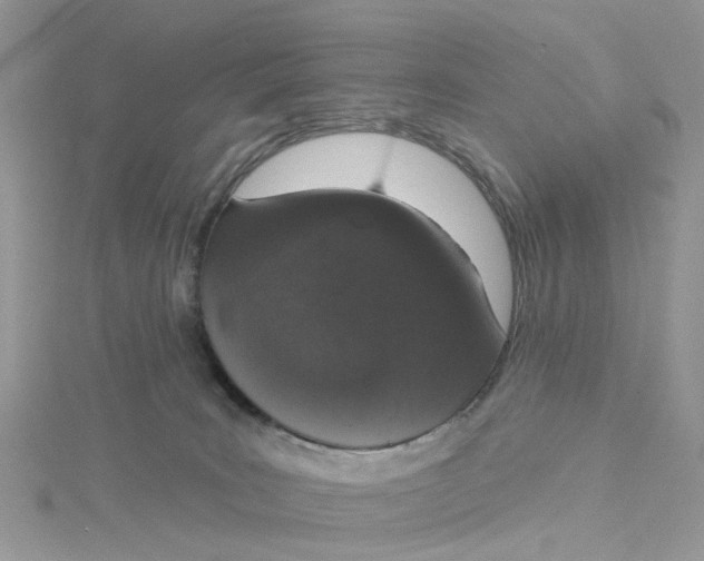 X0000115130035200911171209