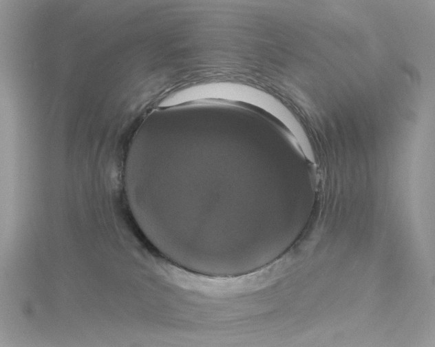 X0000115130039200911171209