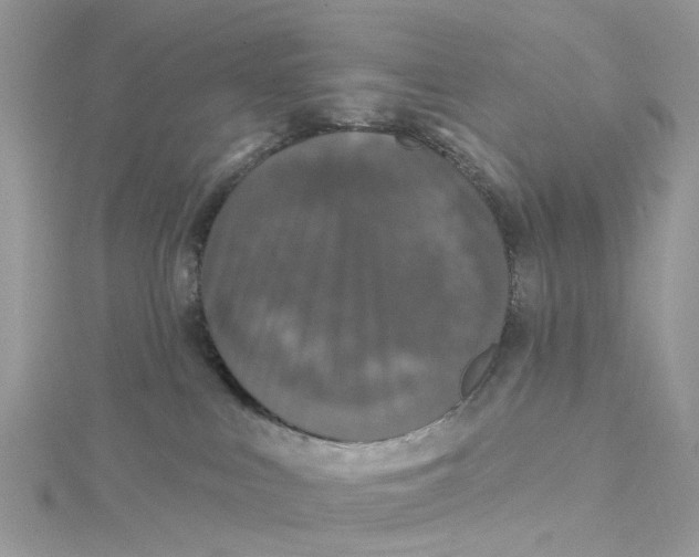 X0000115130043200911171209