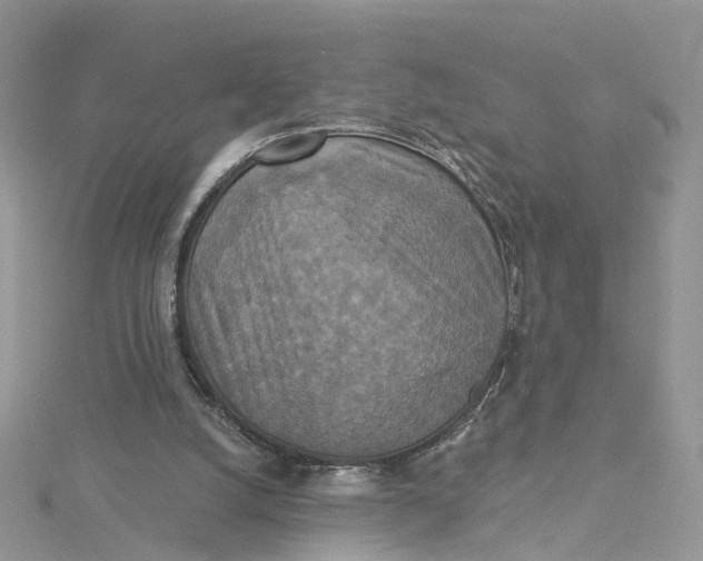X0000115130056200911171208