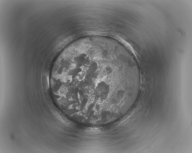 X0000115130061200911171208
