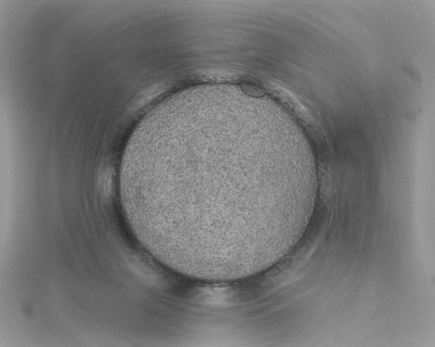X0000115130071200911171209