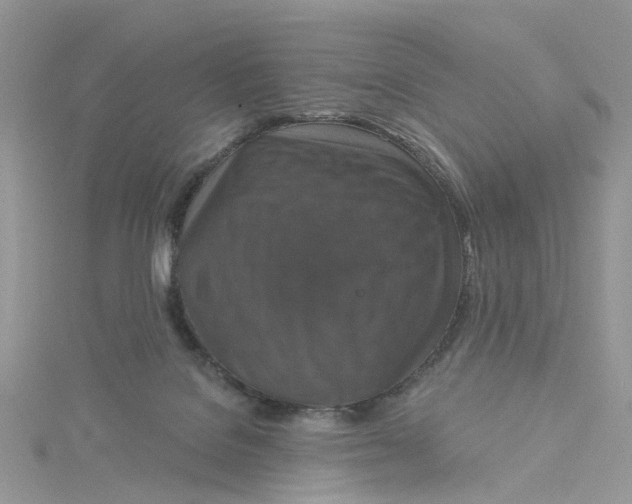 X0000115130076200911171209
