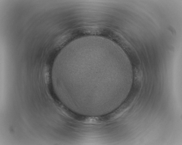 X0000115130080200911171209