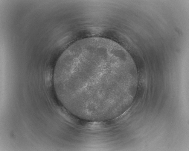 X0000115130082200911171209
