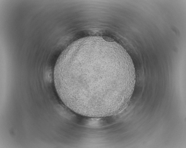X0000115130090200911171209