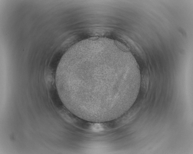 X0000115130091200911171209