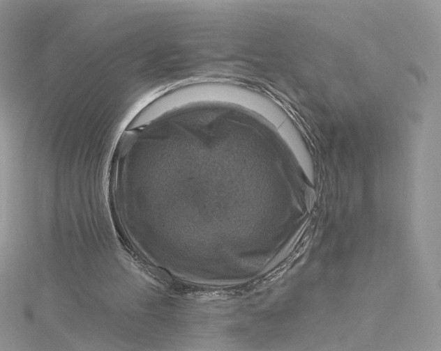 X0000115130100200911171208