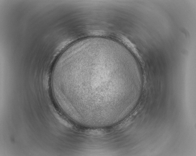 X0000115130106200911171208