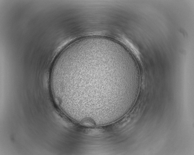 X0000115130107200911171208