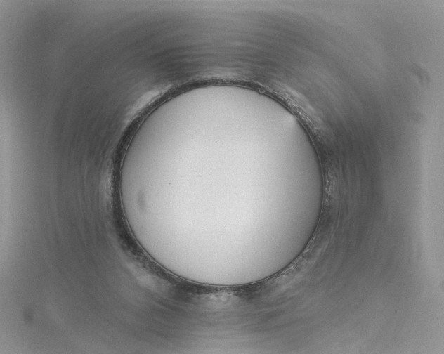 X0000115130112200911171208