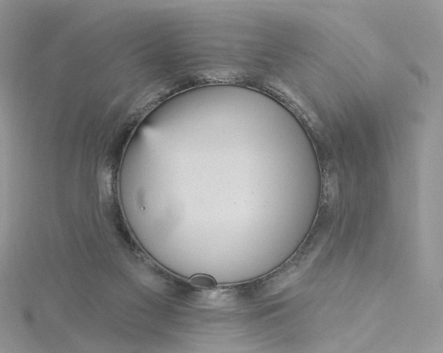 X0000115130117200911171208