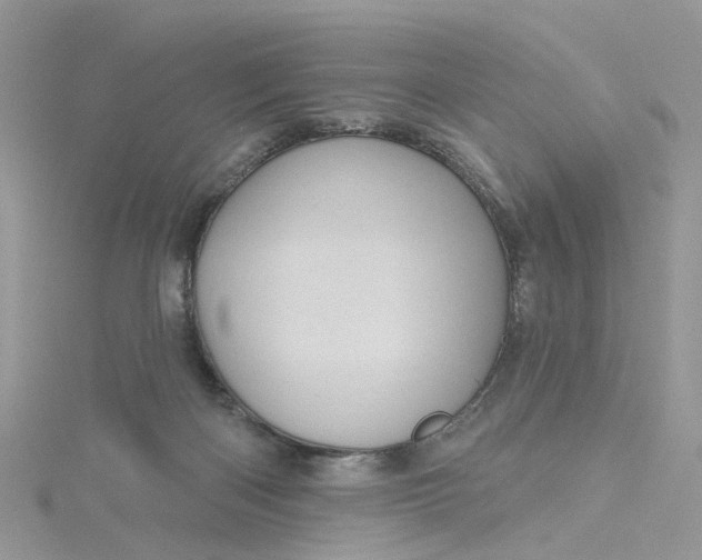 X0000115130122200911171208