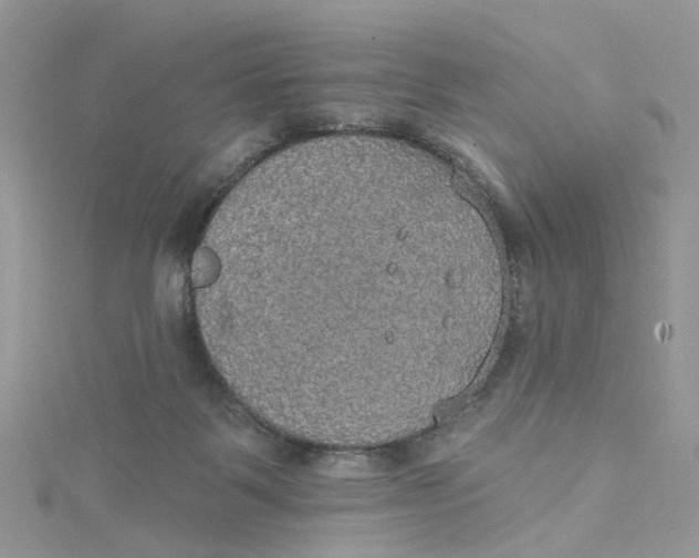 X0000115130123200911171208