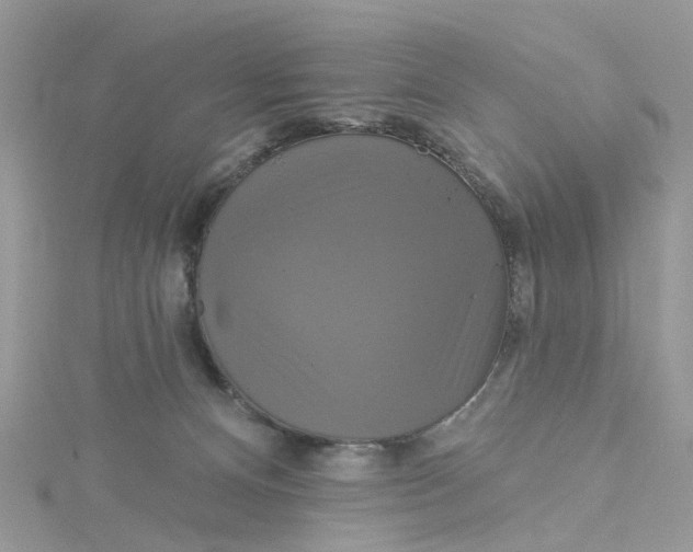 X0000115130128200911171208