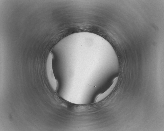 X0000115130129200911171208