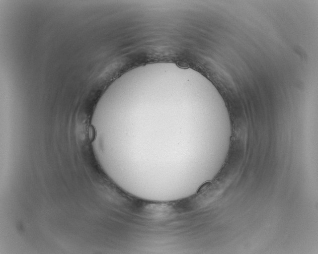 X0000115130133200911171208