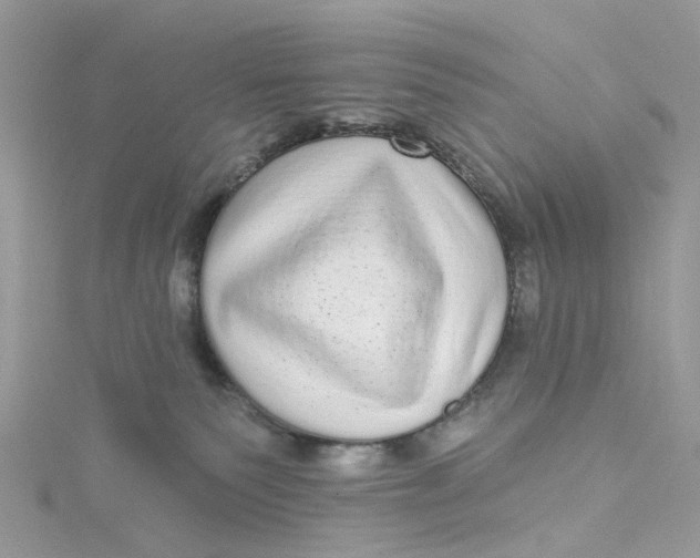 X0000115130135200911171208