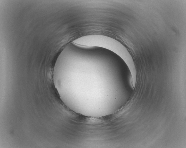X0000115130141200911171208