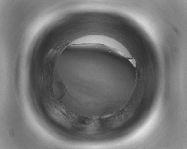 X0000115130143200911171208