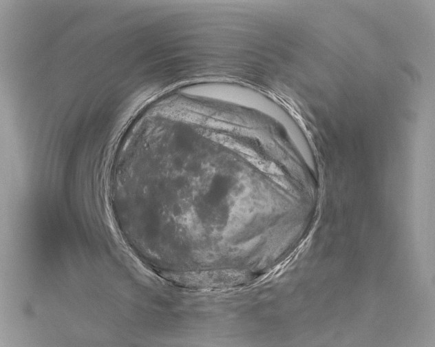 X0000115130145200911171207