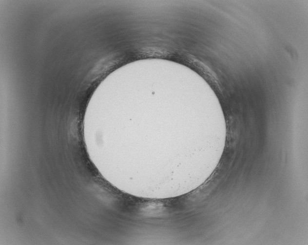 X0000115130162200911171207
