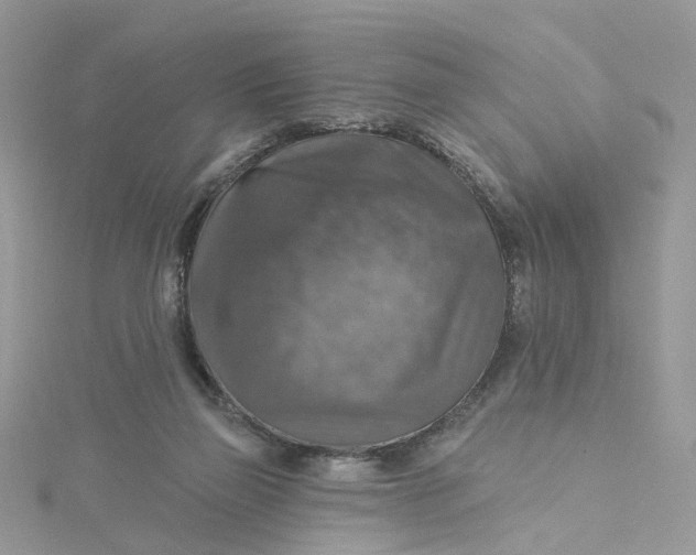 X0000115130165200911171207